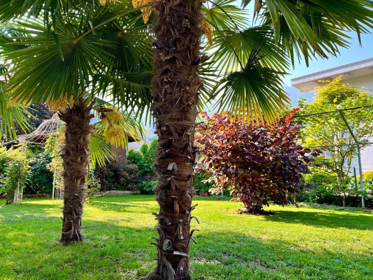 La Finestra Sul Giardino - B&B Cavedine Exterior photo